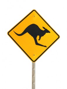 Kangaroo Warning